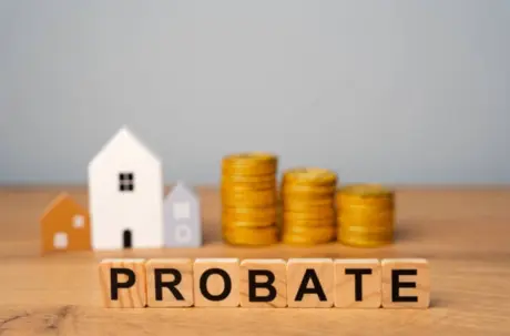 Michigan Probate